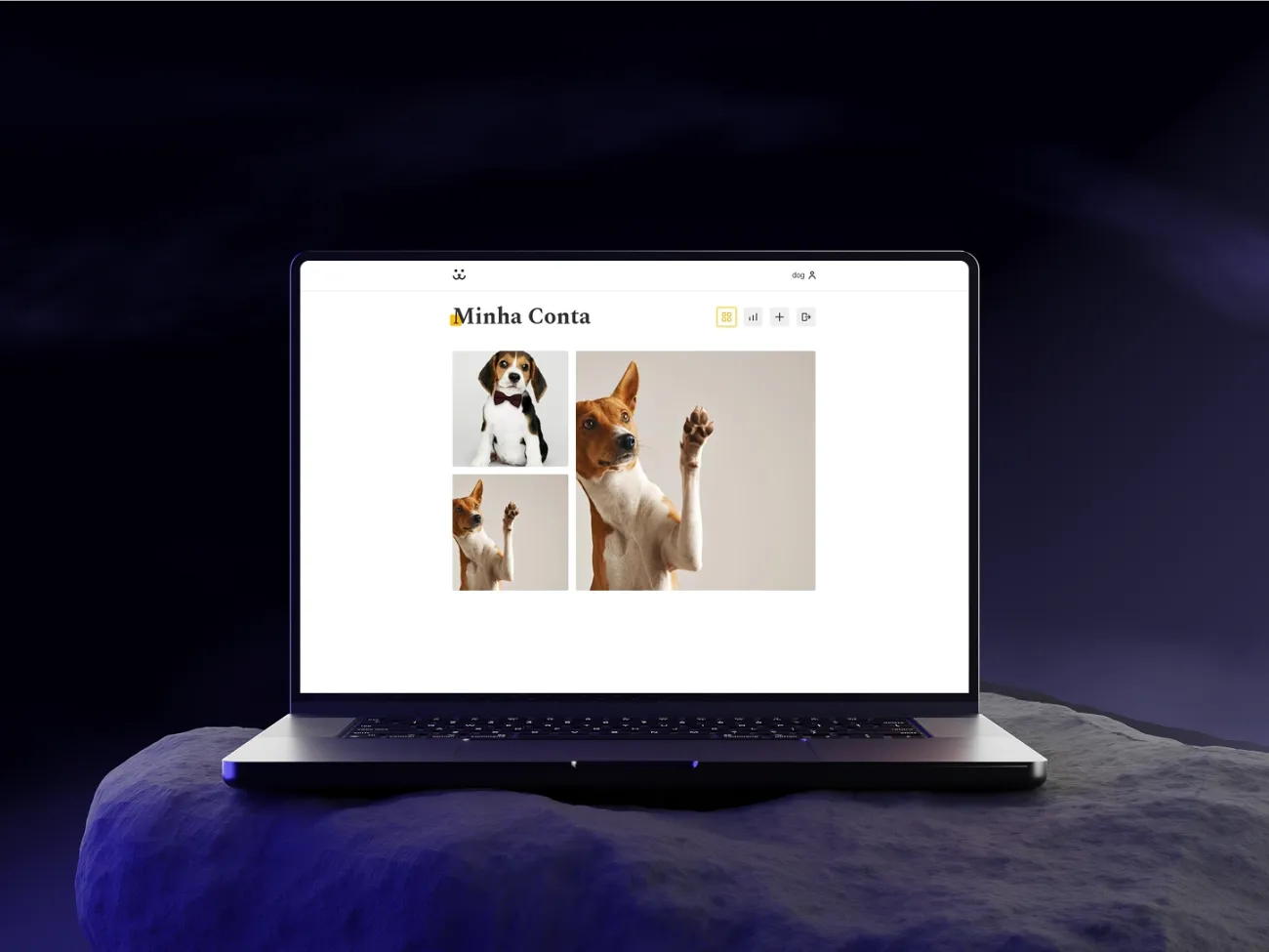 Dogs System — tela 3 do projeto